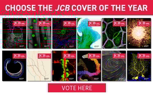 1_EMAIL_LEAD_CellBio2024_CoverComp