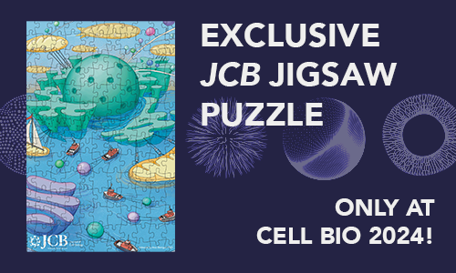 Banner of the exclusive jigsaw puzzle that will be available at the Cell Bio 2024 meeting.