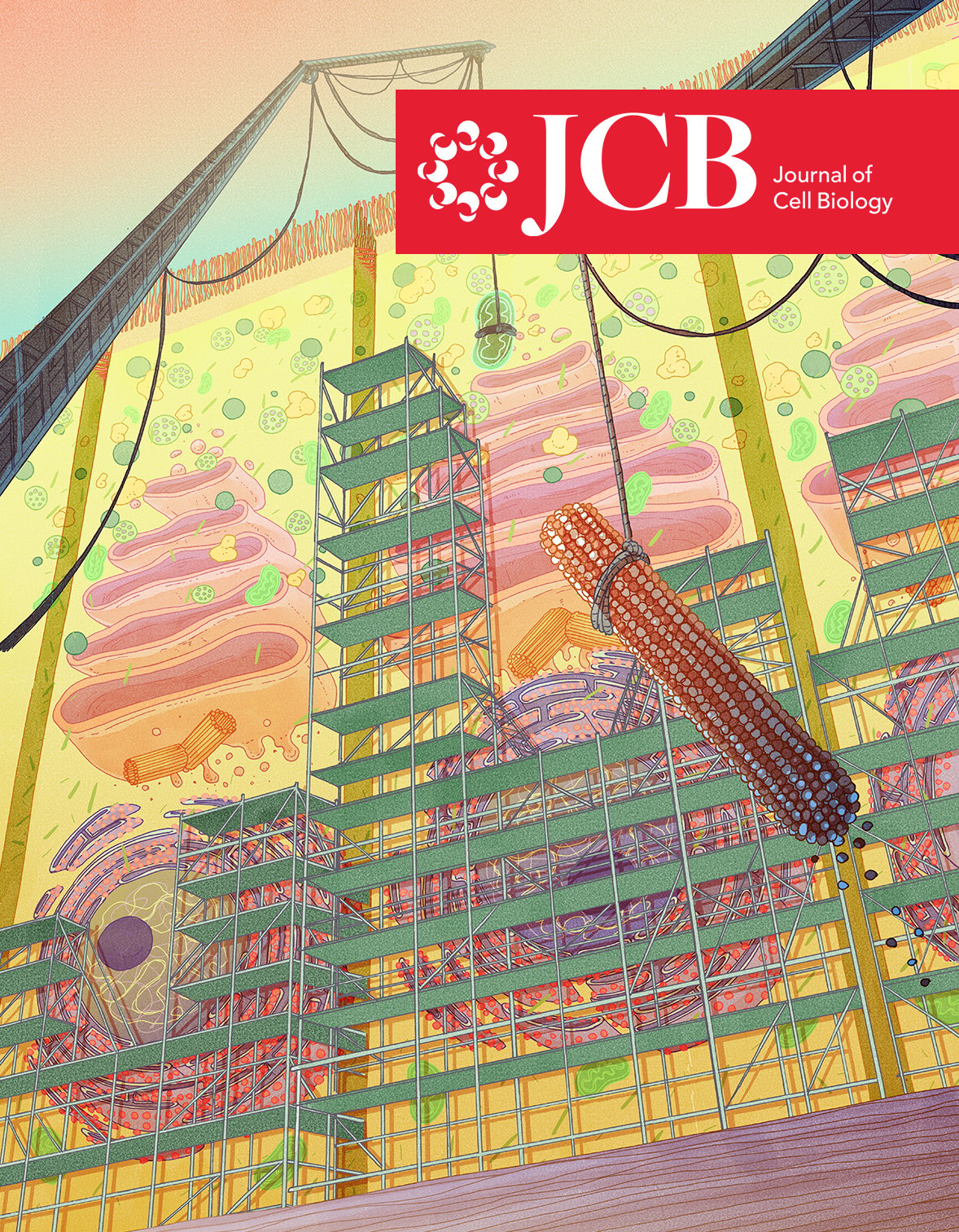 Cover of JCB Year in Cell Biology 2023 special collection.